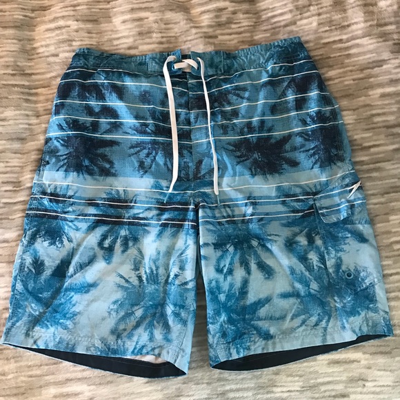 Speedo Blue Striped Palm Tree Swim Trunks - Picture 2 of 8